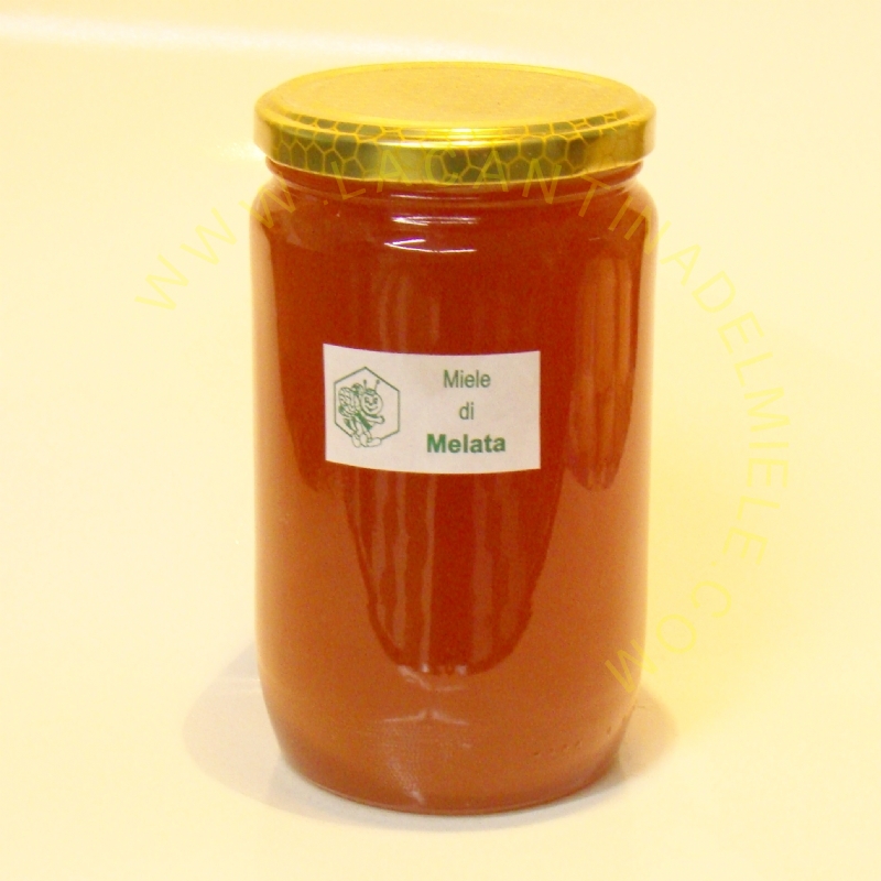 Miele di Melata 1000 gr. (1 Kg)
