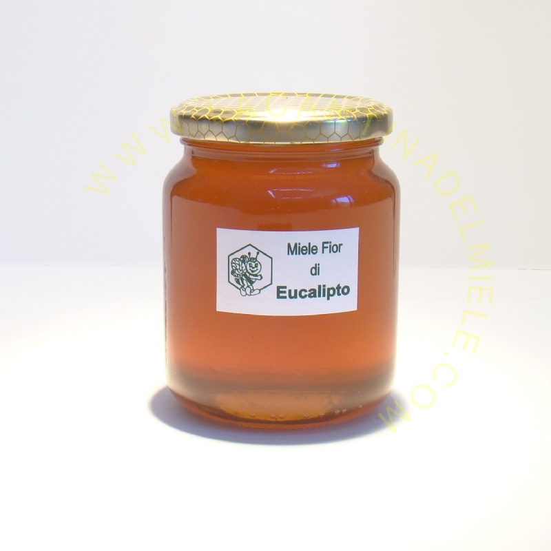 Miele fior di Eucalipto 500 gr. (0,5 Kg)