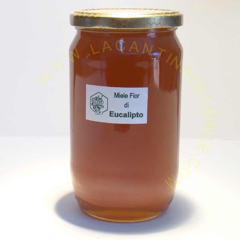 Miele fior di eucalipto 1000 gr. (1 Kg)